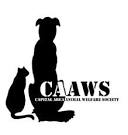 caaws