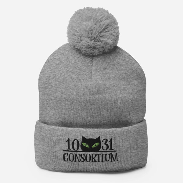 pom pom knit cap heather grey front 663a9540a3055.jpg