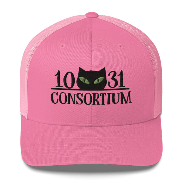 retro trucker hat pink front 663bb89c082ad.jpg