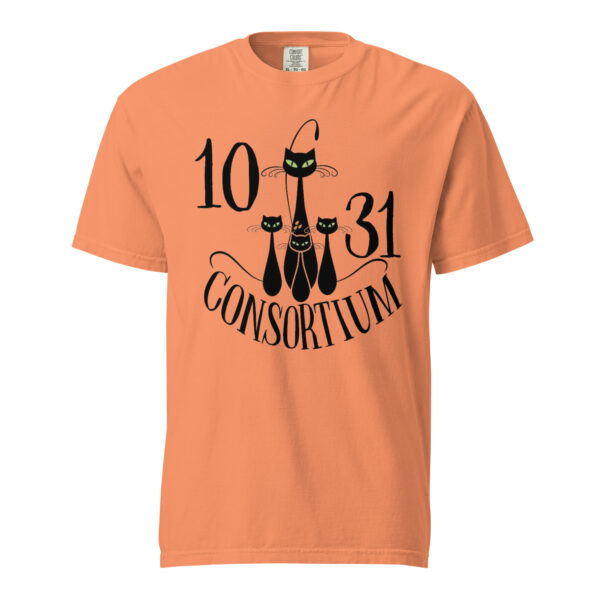 unisex garment dyed heavyweight t shirt terracotta front 663ba318e2f20.jpg